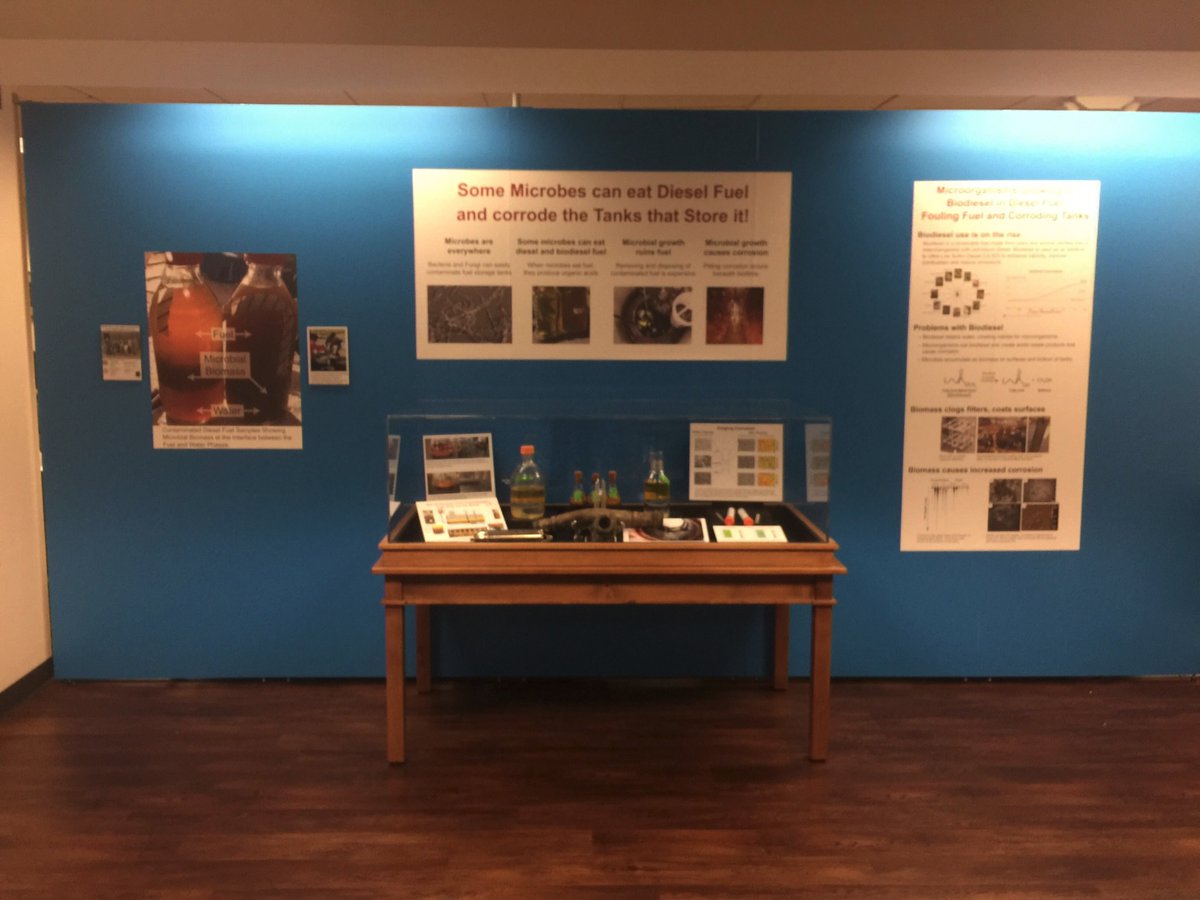 BSteve1120's tweet photo. It's finally happening! Our research on Microbial Fouling and Corrosion in diesel storage tanks is on display in the OU Bizzell Memorial Library!!! Come see the dirty fuel, cool pics, and 3D prints of SEM surface images! #StevensonLab, @OULibData, @OU_MPBIO 🦠+⛽️=☹️ https://t.co/1sEzAo04GF