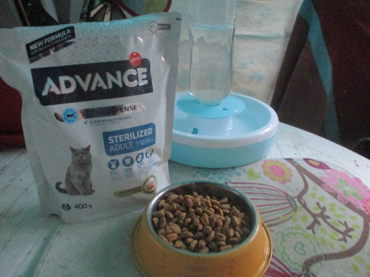 GodieeChan's tweet photo. Milka a la découverte du pack ambassadeur Advance avec @trnd_fr #AdvanceSterilized #trnd #trndFrance #testdeproduits https://t.co/BeAVQsyMe1