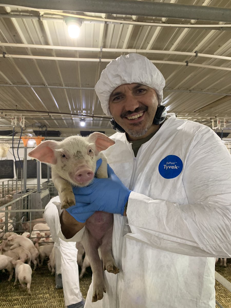 IowaPork's tweet photo. It was a great first day of this year’s Midwest Pork Summit! 

✅Pig farm tour at @BrennemanPork 
✅Pig fabrication with @NationalPork 
✅Harvesting the Curing Cuts with Bob Levitt from Publican Meats
✅Dinner at @BigGroveBrewery https://t.co/a5JEHkNdYQ
