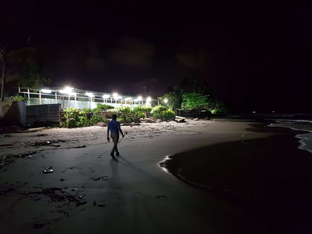 FrancisUNDP's tweet image. Mais, les déchets en plastique et les lumières vives mettent en danger les tortues pondeuses et les nouveau-nés. #PlasticGarbage &amp;amp; blinding lights endanger turtles laying eggs and newborn hatchlings.  C’mon Gabon, we can do better! @AmazingGabon @UNDPAfrica