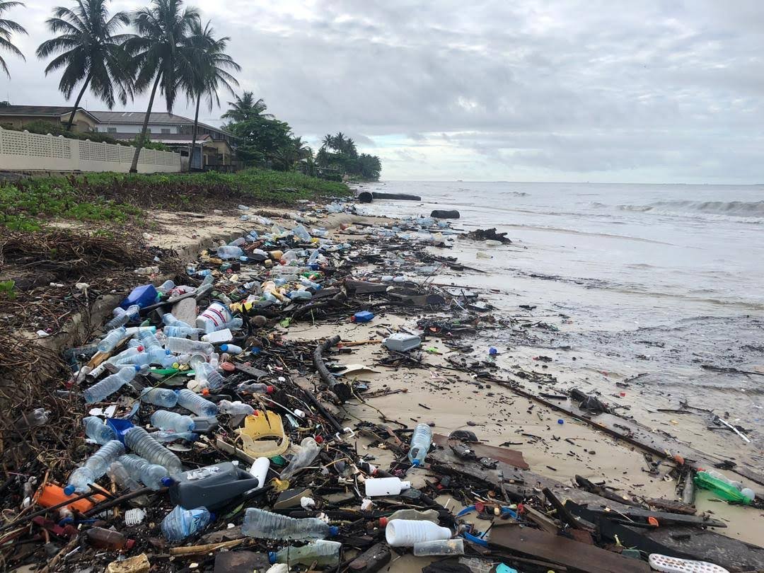 FrancisUNDP's tweet image. Mais, les déchets en plastique et les lumières vives mettent en danger les tortues pondeuses et les nouveau-nés. #PlasticGarbage &amp;amp; blinding lights endanger turtles laying eggs and newborn hatchlings.  C’mon Gabon, we can do better! @AmazingGabon @UNDPAfrica