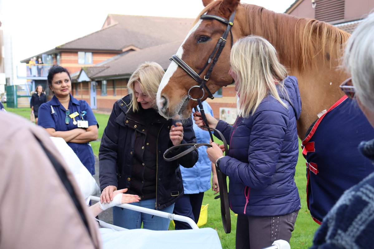 Our patient’s final wish was to say goodbye to their horses and feed them one last time. Our Acute Medical Unit made it happen. Saying goodbye to the most important thing in their life was such a special. We are so thankful we could make this happen. #DyingMatters #Onewish  🐴💙