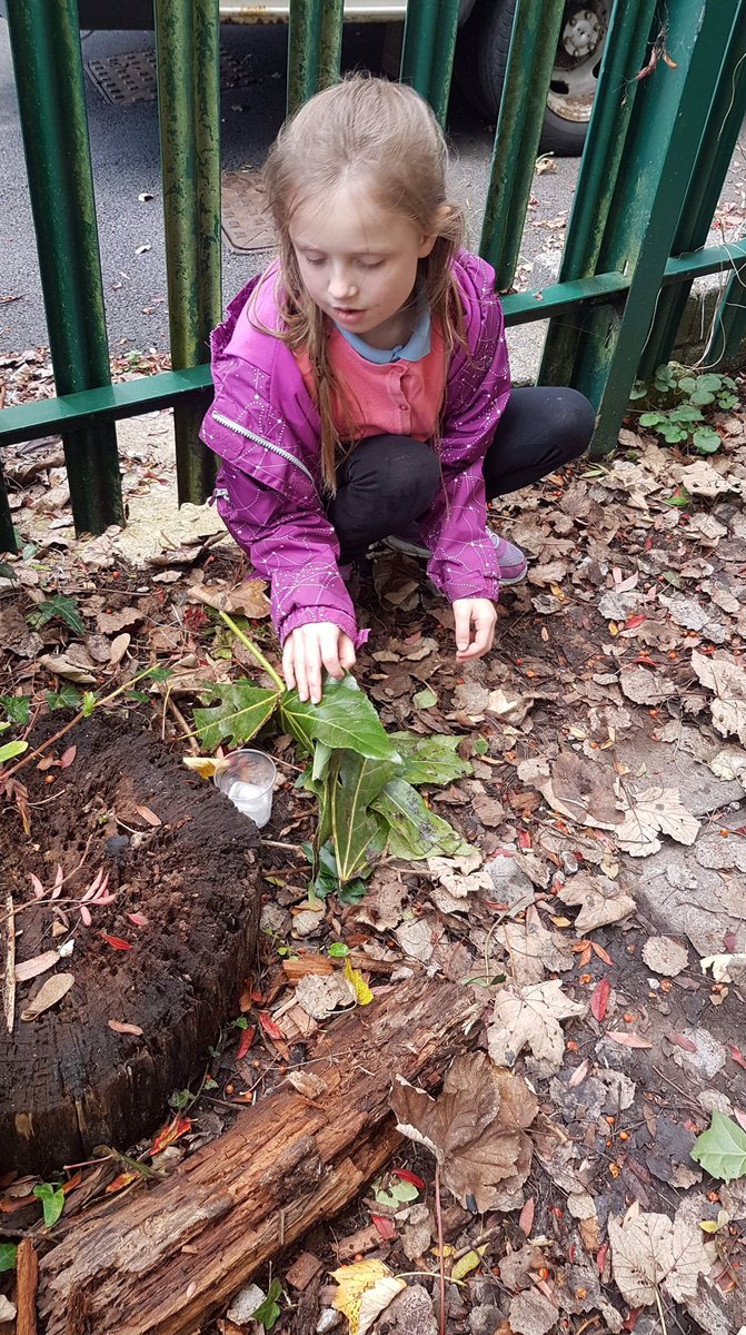 PentrerGraig's tweet photo. Working as teams to find the best place to keep our ice cube cool. Lots of cooperation today #pgpvenus #pgpscience https://t.co/J3S678MBad