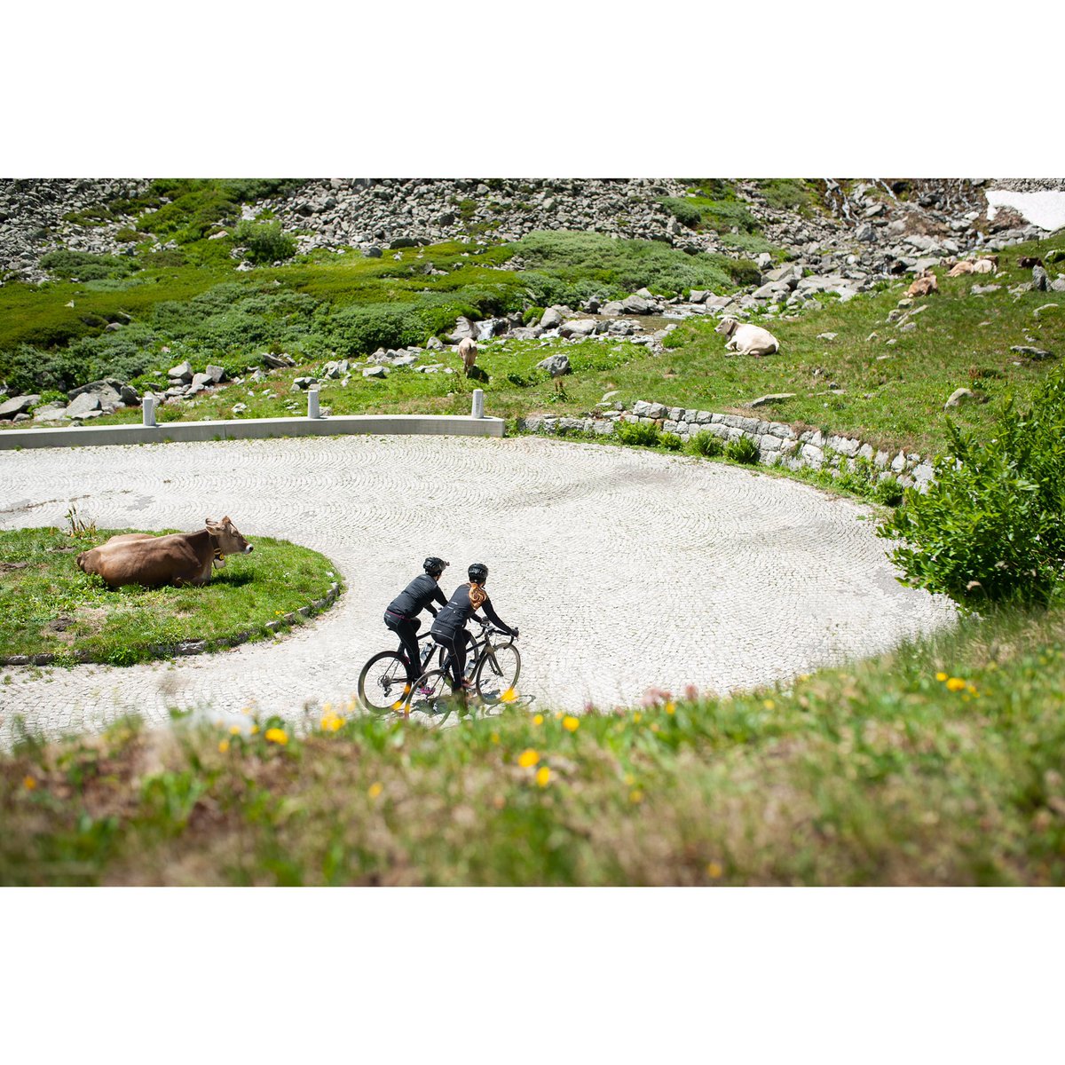 Get rid of autumn blues now with a new and completely made in Italy kit!
It’s time to take advantage of this offer, -30% off for all products with the coupon code “FRIENDS30”.
Shop now at laclassica.com