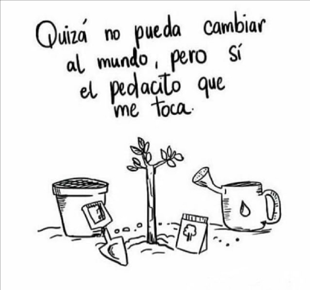 Con pequeñas acciones se logra un gran cambio. 🌳🍃