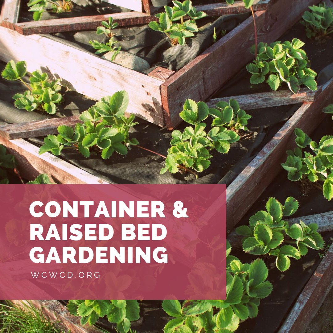 Coming soon: Free landscape workshop, Container & Raised Bed Gardening, November 2, 10-11 a.m., at Tonaquint Nature Center. #free #landscapeworkshop #StGeorgeUtah