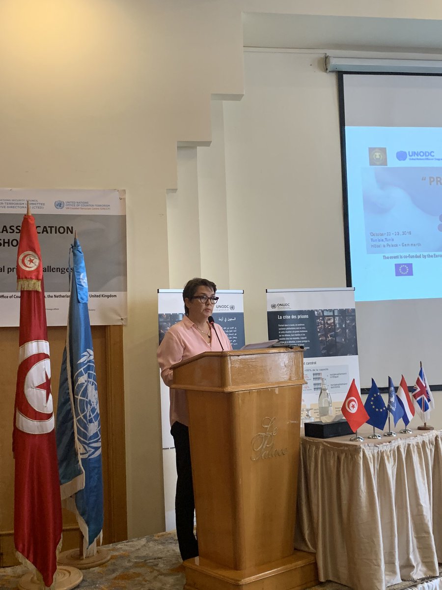 Vera Tkachenko tweet media