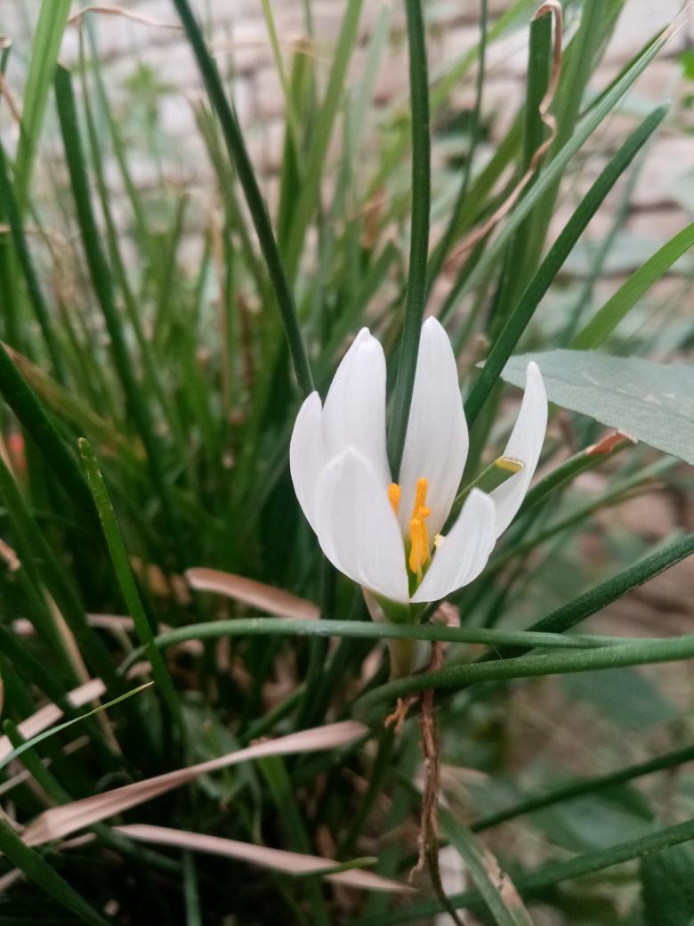 AspectViews's tweet image. Such kind of beauty you can only find in this beautiful Pakistan.
#PAKISTAN
#TuesdayThoughts #Dabangg3TrailerOutTomorrow
#ReadyToFightForPakistan
#FascismRejected
#NawazSharif