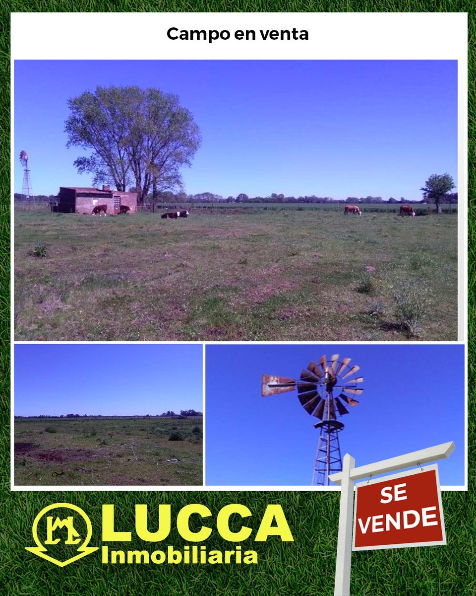 luccaInmo's tweet image. Se trata de una parcela de 5.28 hectáreas, que ofrece una oportunidad de realizar el sueño de la chacra de fin de semana.

luccainmobiliaria.com.ar/detalle/venta/…