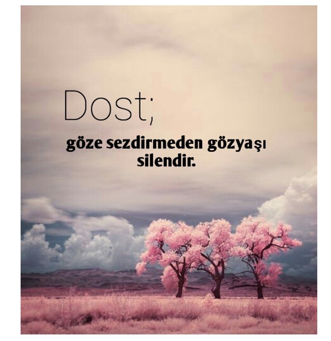 ceyhun ciftci (@ceyhun_cftc) on Twitter photo 