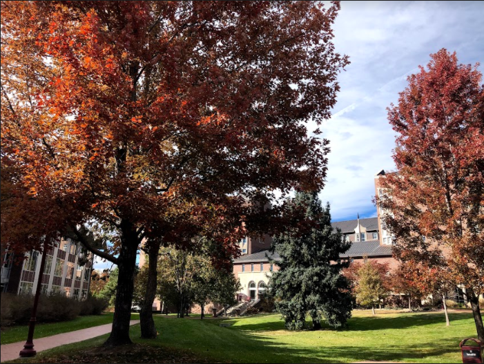 DUAdmissionIntl's tweet photo. Learn more about getting around the DU campus using our shuttle program! #DUWorldwide #CampusShuttle https://t.co/9oUK2RmFlV https://t.co/JsEmnlav3g