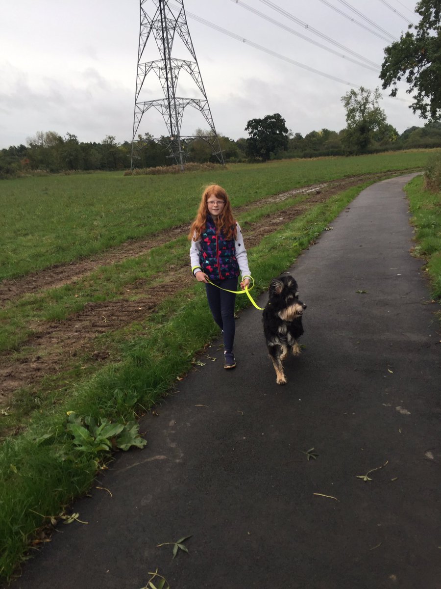 LauraJS81's tweet image. Grace being active over half term @latimerprimary #activelatimer #classTJ #woodlandwalks #nature #dogwalking #beaconhill #anstey
