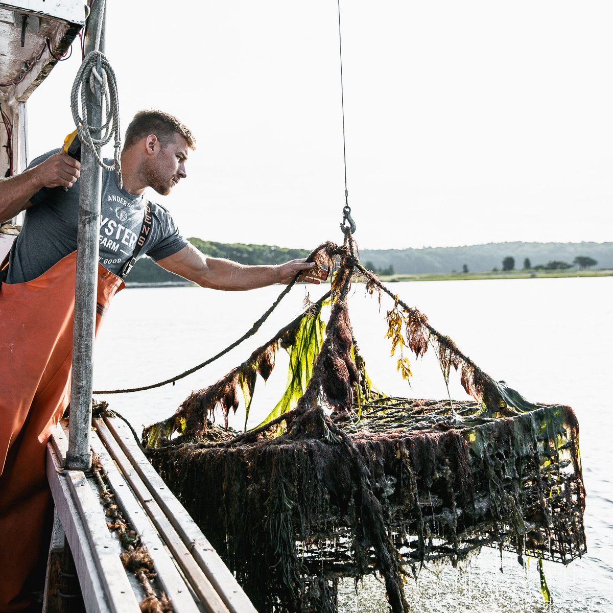 nobull navy pixel trainer