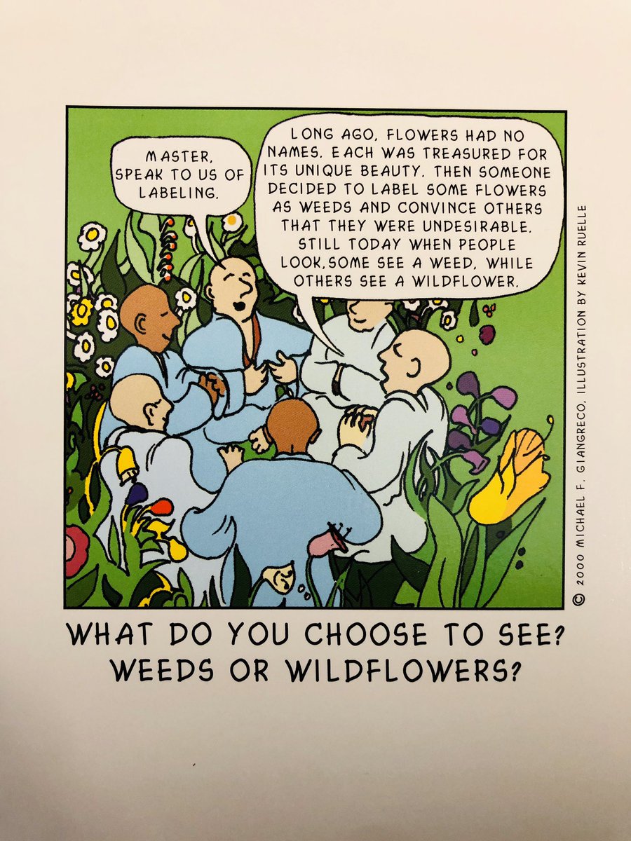 FINCrown's tweet photo. Mindsets are powerful. We choose to support ALL learners. #FINspiration #TuesdayThoughts #inclusion #TuesdayMotivation https://t.co/hyI8toAPt9