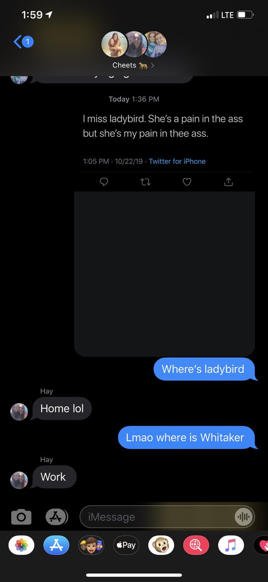 krishnafarver's tweet photo. @Jwhitaker33 *me being concerned about ladybird* https://t.co/KadyyWbt4B