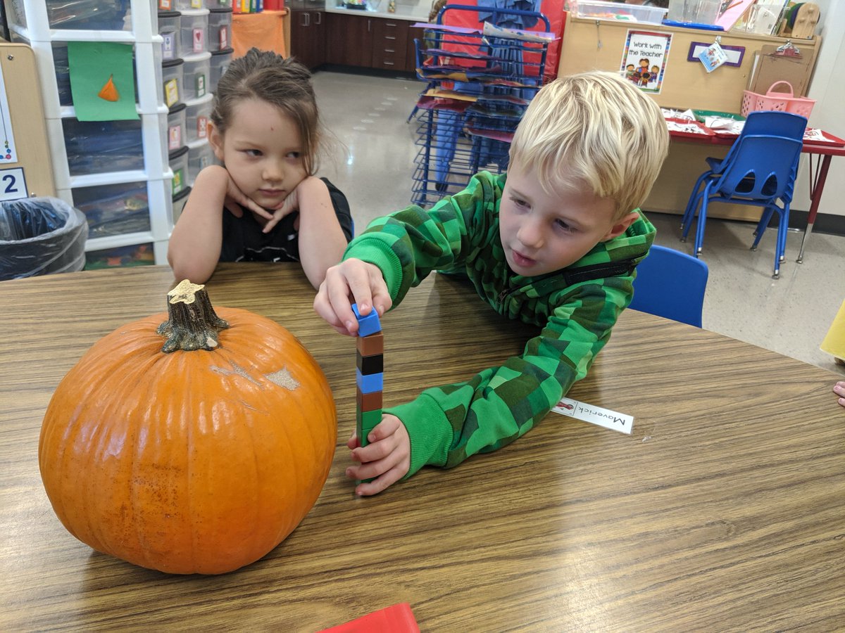 LPPwithMrsT's tweet photo. Today we learned about the different ways to measure and then practiced on pumpkins! @LittlePanthers1 #pawsitivepanthers #npspanthers https://t.co/hKYEyUZjPA