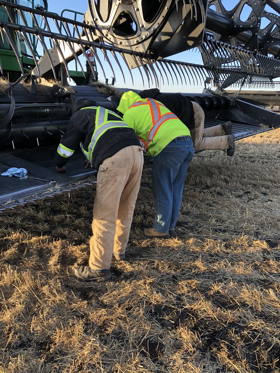PaigeLStewart22's tweet photo. 157 years of farm experience between these 4! Amazing group that we get to learn from- and “The Boss” isn’t even represented here! We are getting an education #harvest19 @chrisprocyk @fullcountfarms https://t.co/n2vj4toUWb