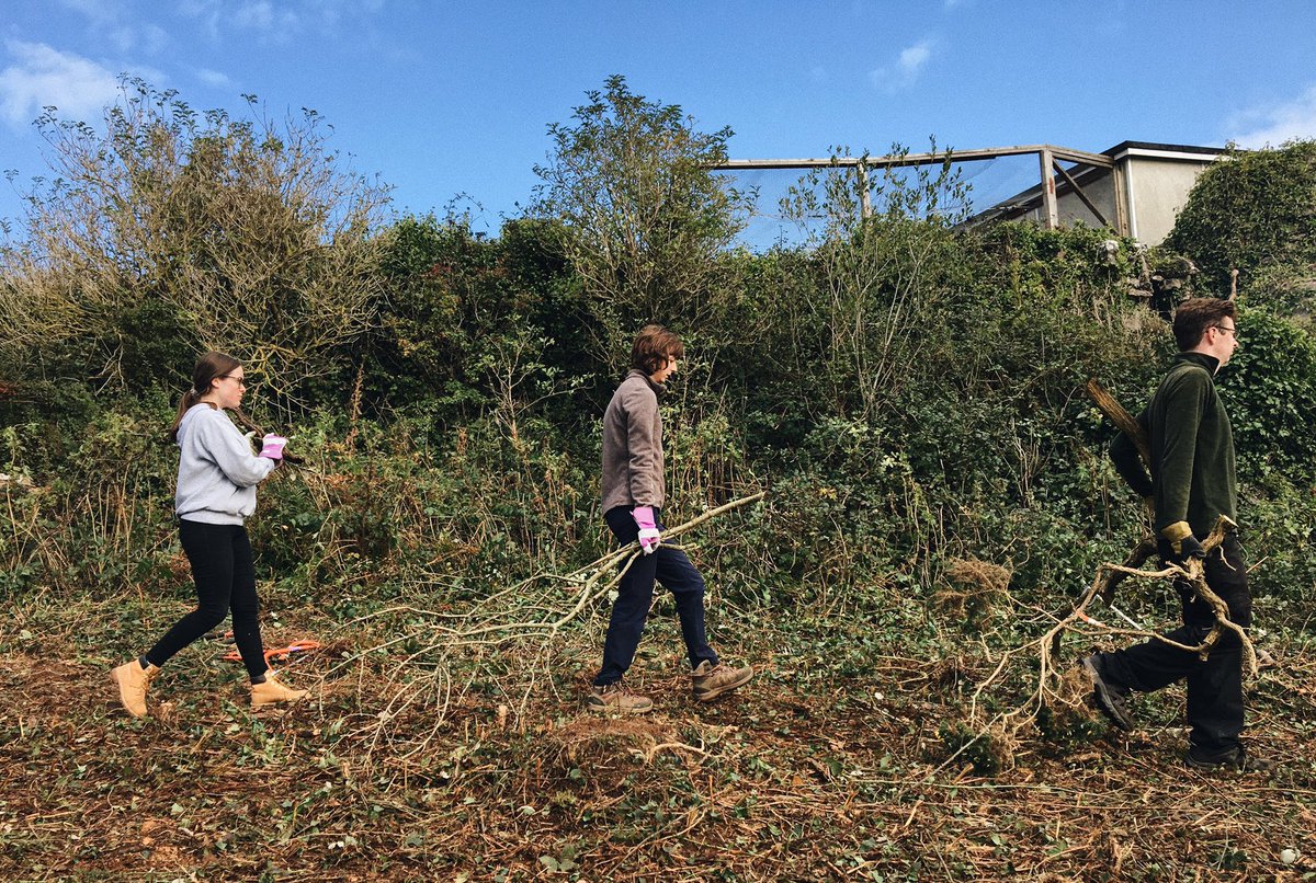 BU_Conservation's tweet photo. Our first work party at Mariandyrys! 20/10/2019 🌞🌿🦋 https://t.co/vX7eWAqV66
