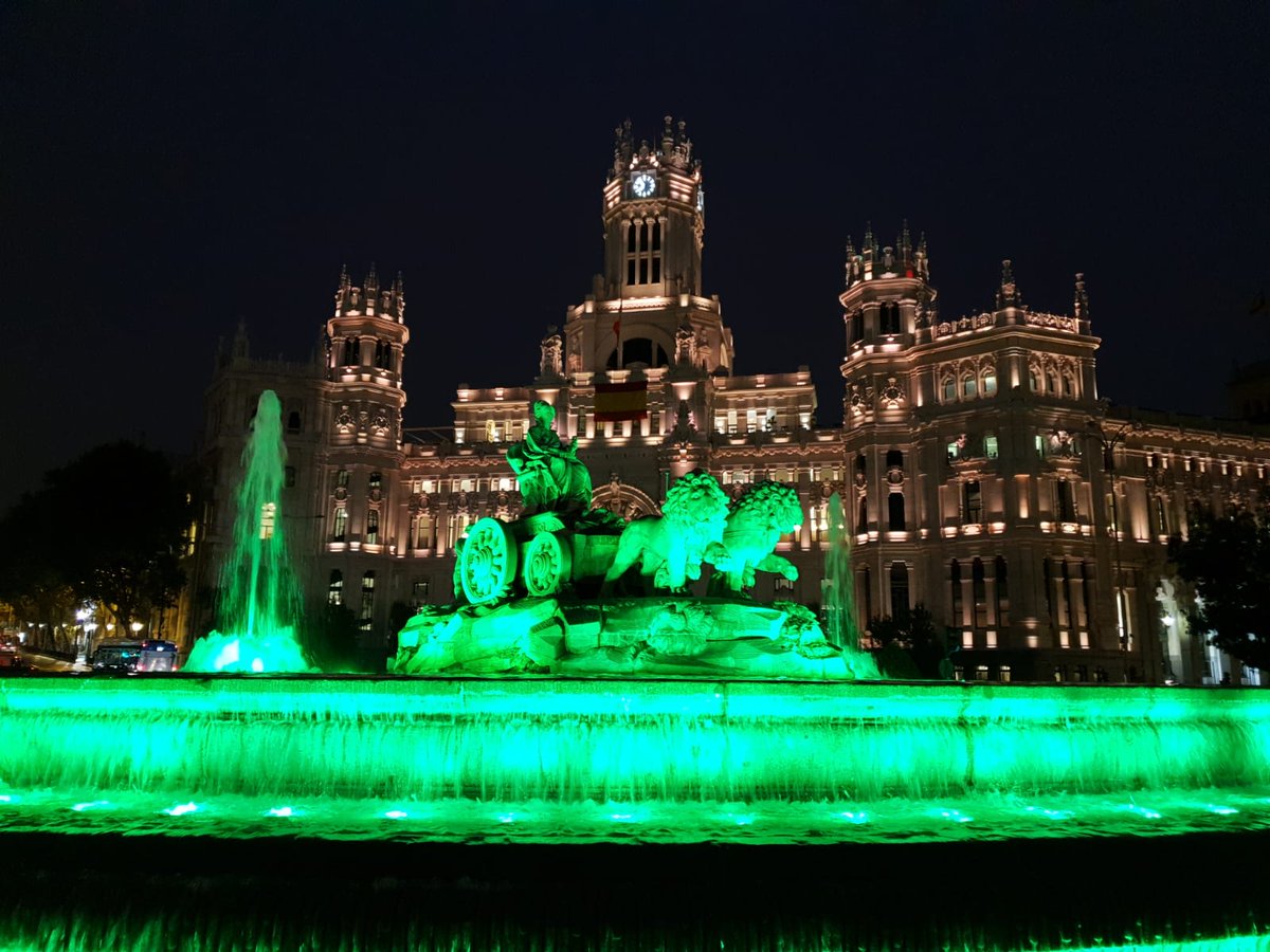 yiyi92189's tweet photo. Edificios Históricos y Monumentos de toda #España brillan de verde en honor al Dia Internacional del síndrome de @PhelanMcDermid 💚💚💚
#PhelanMcDermid
#Heroes
#Dalesvoz
#PMSFAD
#22q13
#PMSF
#Green https://t.co/kU6MUru6Bo
