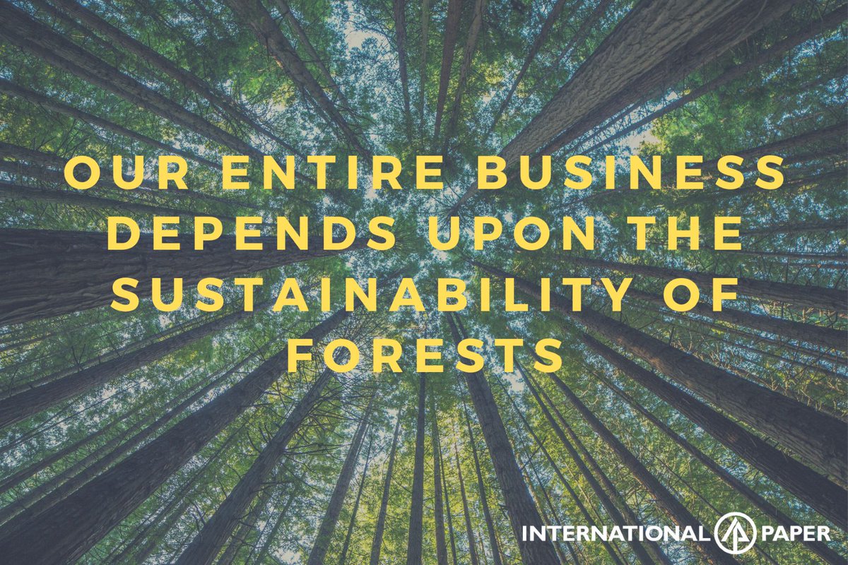 IntlPaperGR's tweet image. During #ForestProductsWeek we celebrate forest sustainability because it is at the center of our business model. We are working to ensure that there will be more forested land tomorrow than there is today and for generations to come. #TheIPWayForward #SustainingForests