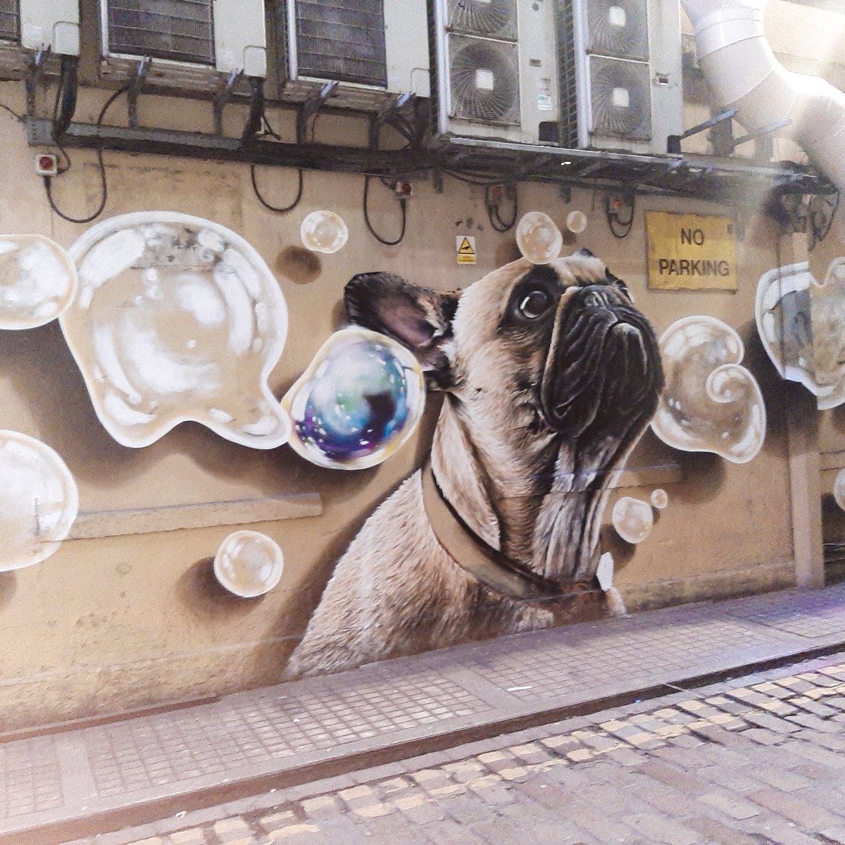 #StreetArt #ScottishArt #ScottishStreetArt #puppys #bubbles #RenfieldLane #buildingstobeauty