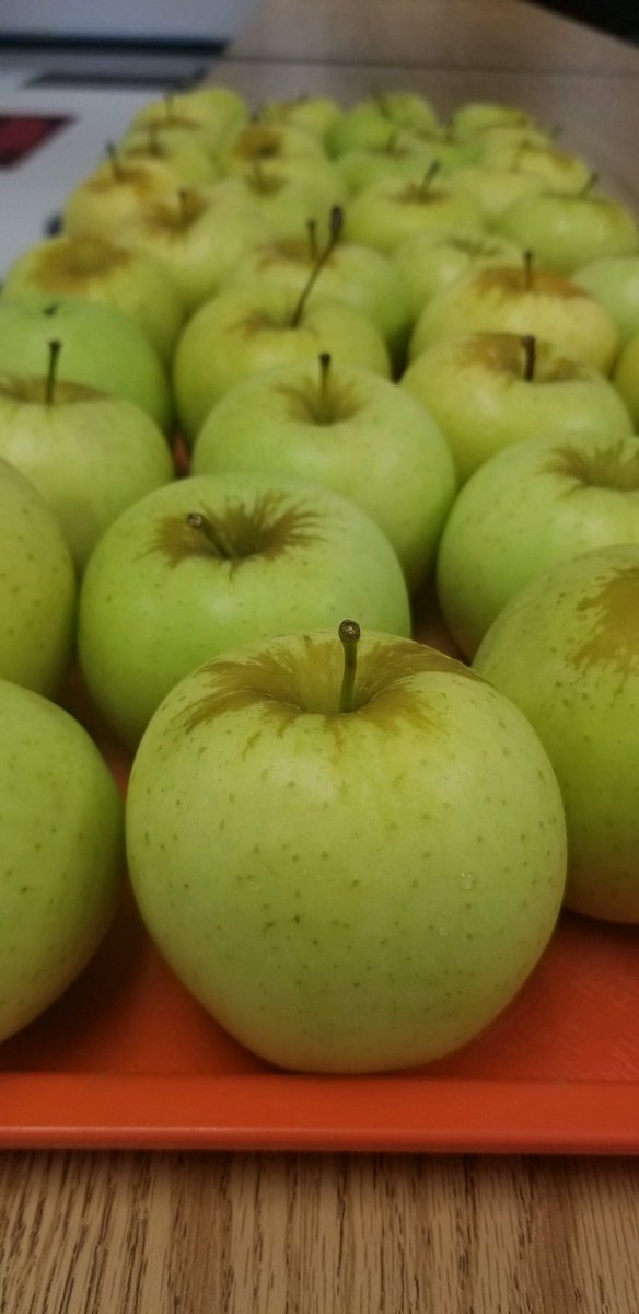 SchoolMeals_NPS's tweet photo. ❤️❤️ these #localva apples 🍏 from Little Creek House Orchard from central VA! #dyk apples are our #VA #HarvestoftheMonth? Check out our website to find lesson plans to incorporate into your classes! https://t.co/tECEdY3RTt https://t.co/QRSd8d6U0R