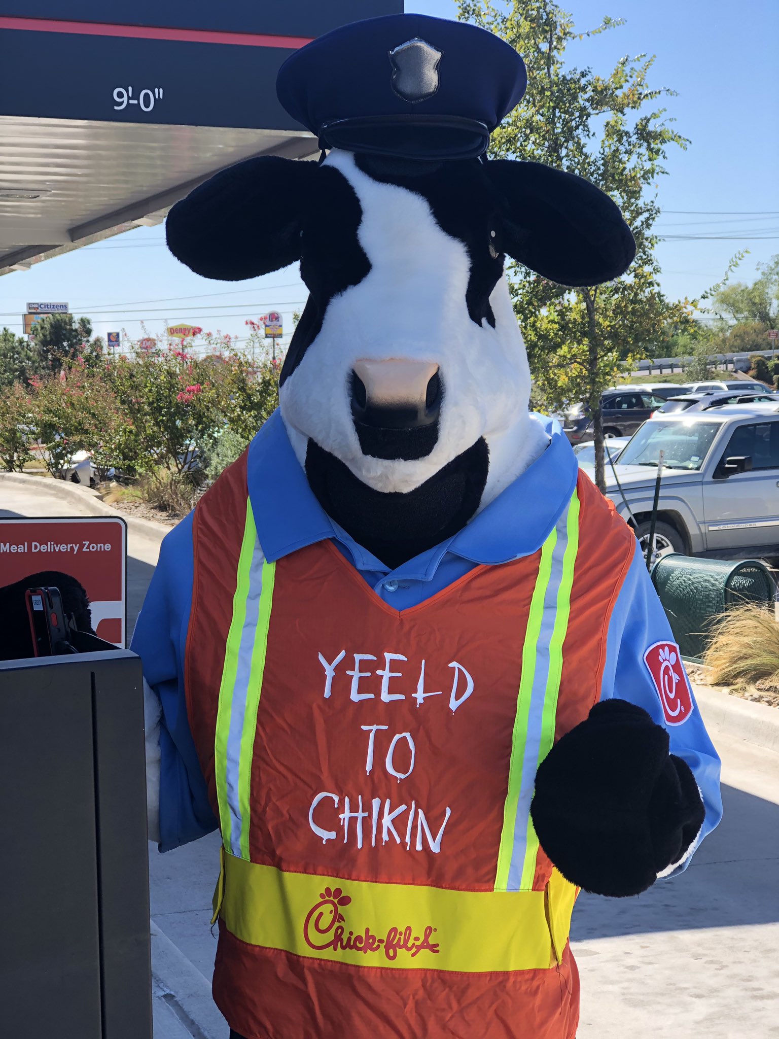 Chick Fil A Cow Costume