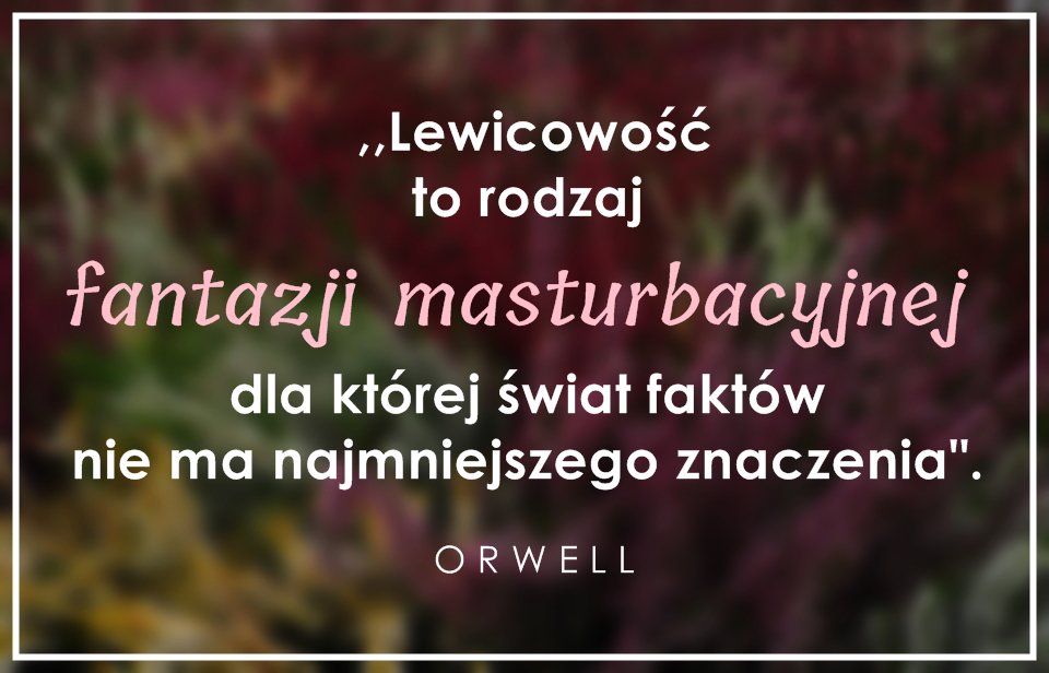 MokotowDolny's tweet image. 