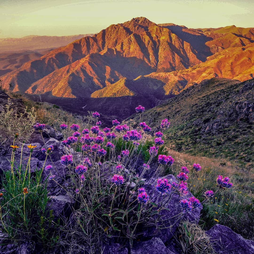 TurCapilla's tweet image. Todas las estaciones en un solo paisajes, #CapillaDelMonte  es #todoelaño 

Ph: @juanmontiel1975 
#NaturalMenteActiva
#CapillaActiva 

#YoAmoCordoba
@turismocba