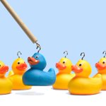 Photo by Rosemari Hicks (@RHCconsultGroup)