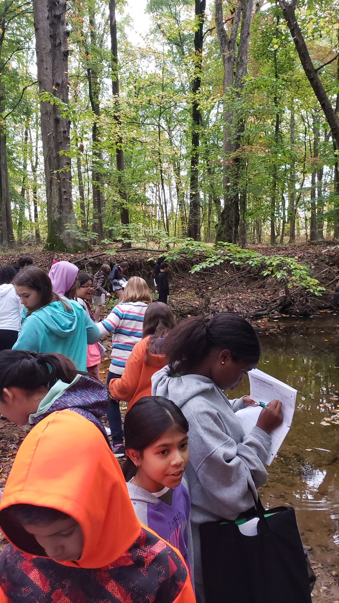 mrcookbcps's tweet photo. Today was a great start to our Honeygo Bioblitz! 5th graders found a series of diverse species. We plan to go a couple more times as Honeygo has so many areas to explore.  @CharleneBehnke @BCPSOutdoorSci @BCPSSci #bcpsbioblitz https://t.co/EGU25CgmsZ