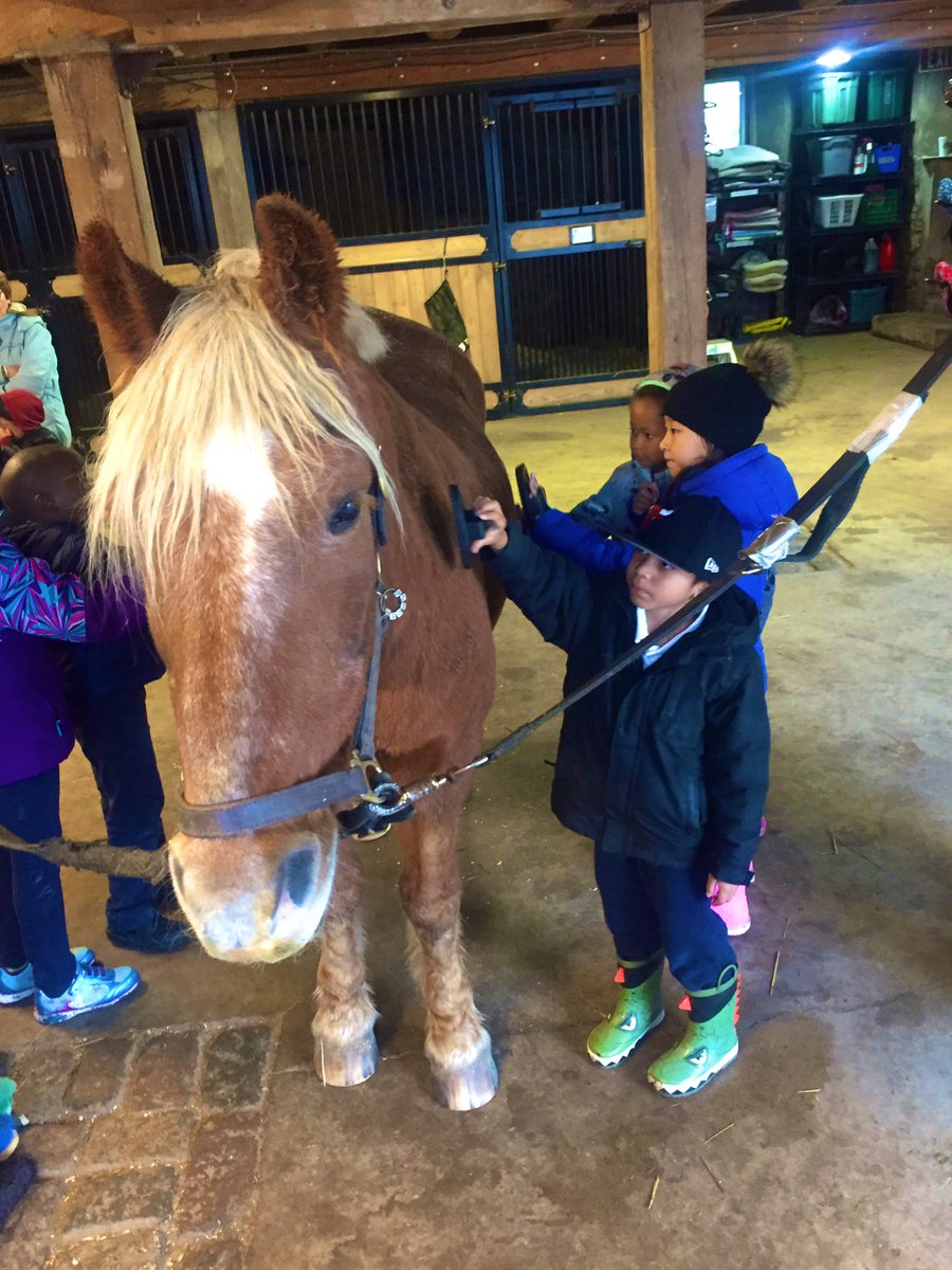 A little rain didn’t stop us from having a fun filled day at Earthbound Farm! @deSalesTCDSB #learningthroughexperiences #gr1