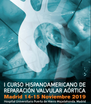 I Curso Hispanoamericano de Reparación Valvular Aórtica (14 y 15 de noviembre)

ow.ly/wnB350wRAIB