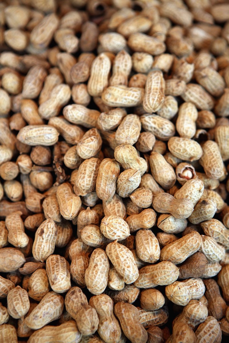 MomsWhoSave's tweet photo. The Benefits of Nut Butters and How to Make Them

https://t.co/VgO26uvpV1

#nuts #health #cooking #peanuts #almonds #peanutbutter #almondbutter #walnuts #walnutbutter #cashews #NationalNutDay https://t.co/QbNsH24Wdt