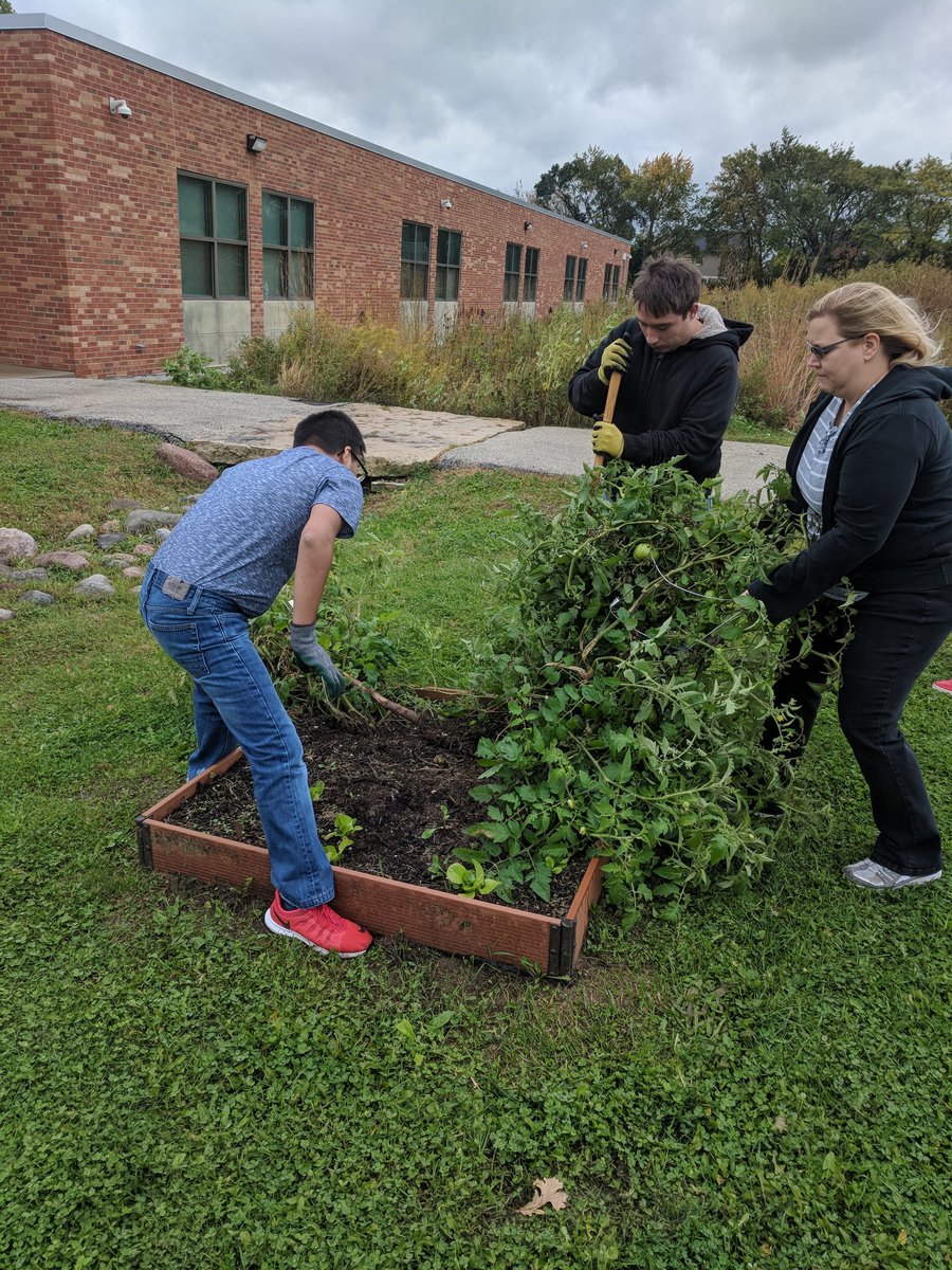 MichaelDalPort1's tweet photo. Spring garden season comes to a close students saved seeds for next year's garden, removed plants. Stay tuned for winter gardening and spring preparation.Thank you to the partners that made the first gardening season successful.@besenvillelib @ourndsec @BensenvilleD2 @ndsectlc https://t.co/mwPe1sOmhW