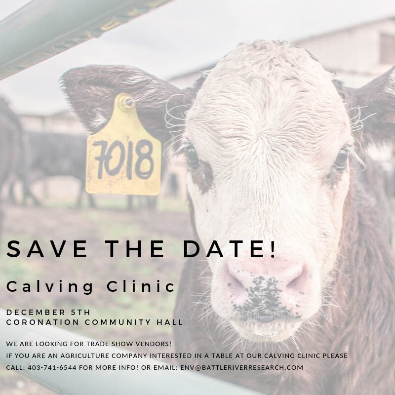 BRRG_Ag's tweet photo. Tag your local Agriculture businesses you would like to see at our Calving Clinic! Contact us to get a booth! https://t.co/qZldWYdmyn