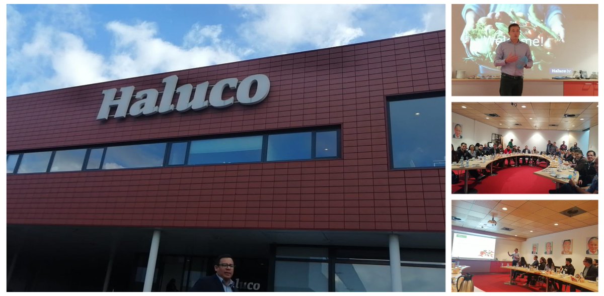 FIDEHonduras's tweet photo. Visitando la empresa Haluco, importador y comercializador.
@cbi @AGEXPORTGT @Apen_Nicaragua @coexport @PROESASV @CADEXCO @ccithn @CCICHN @NormaCerratohn @sg_sieca @UEenHonduras @saghonduras @Camarachiriqui https://t.co/lo75ExjrYx