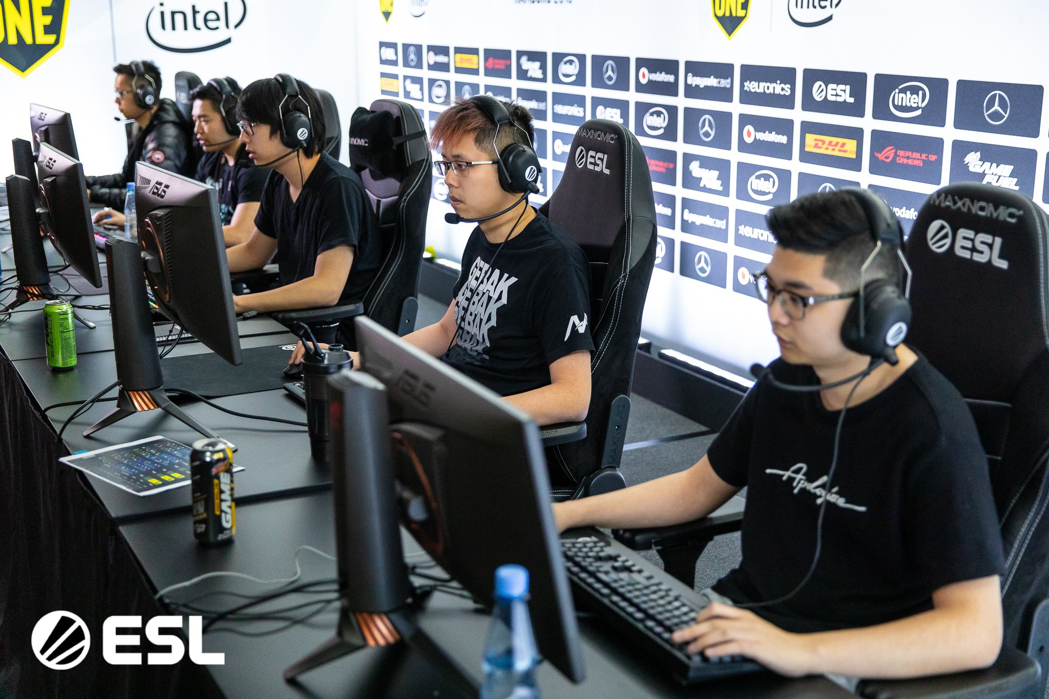 Kết quả hình ảnh cho ee sama fighting pandas