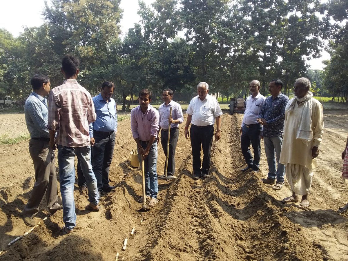 Om Prakash Singh Dycc Saharanpur उप गन्ना आयुक्त tweet media