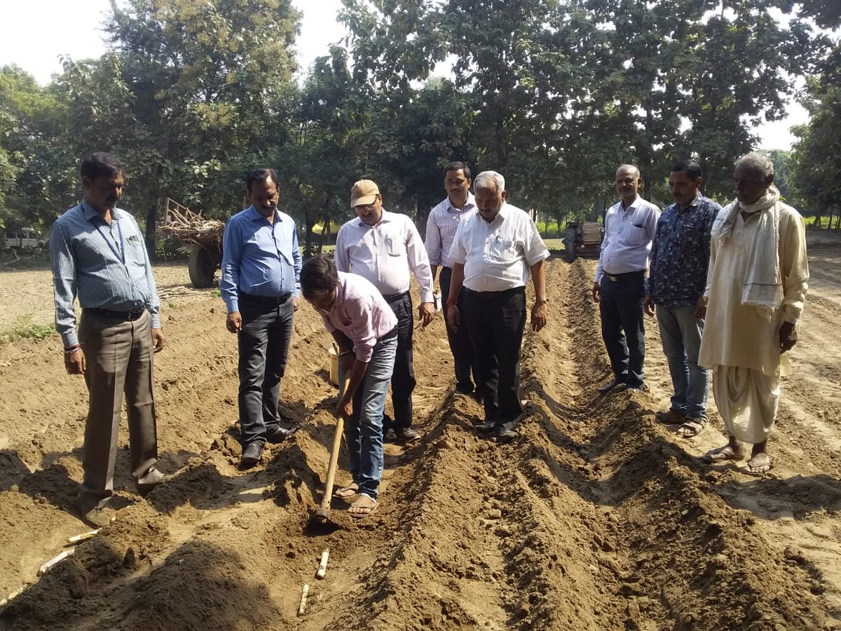 DcoGonda's tweet photo. ट्रेंच विधि से गन्ने की planting ग्राम हरना  tyer https://t.co/mG2RYgbNTV