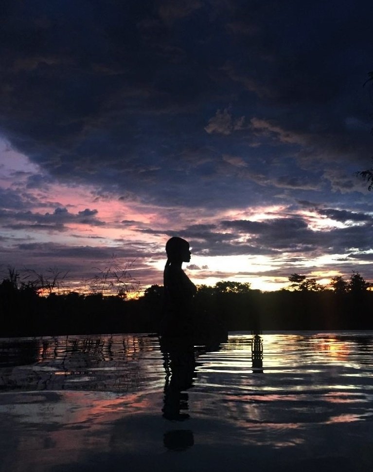 ⋆˙⟡ tweet media