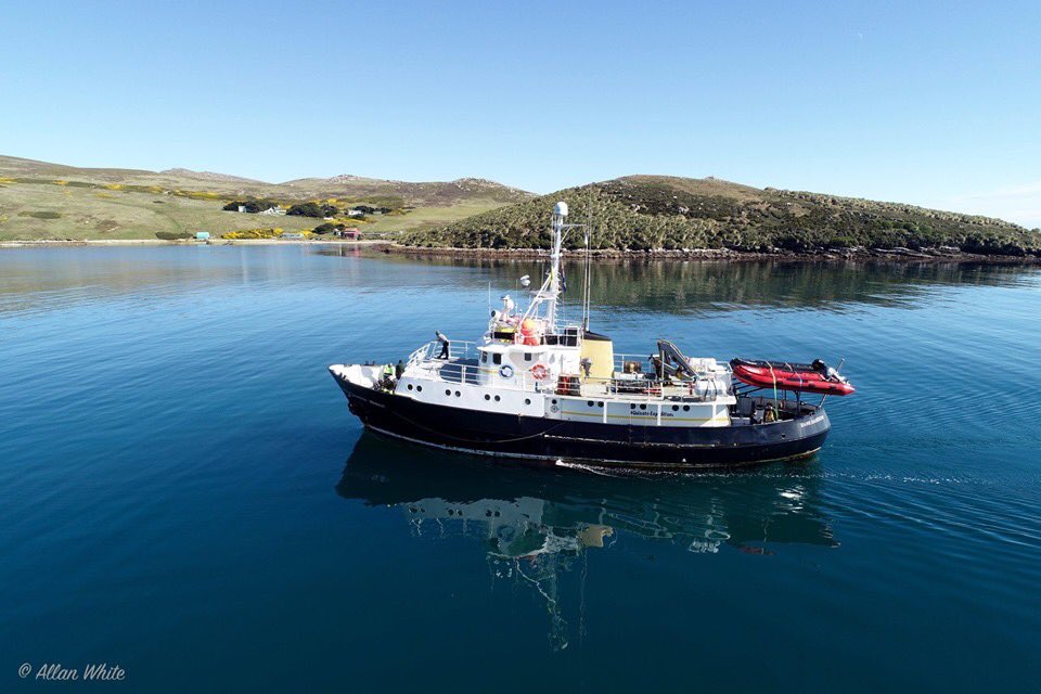 WhiteFalklands's tweet photo. It's been one of those days - maximum sun and minimum wind!  It was fantastic to have Seaquest and Hans Hansson's guests enjoy West Point under such exceptional conditions. #wildwestpoint #falklands #shotondji #phantom4pro #quixoteexpeditions #amazingweather #notsofuriousfifties https://t.co/rbRn9e4vlx