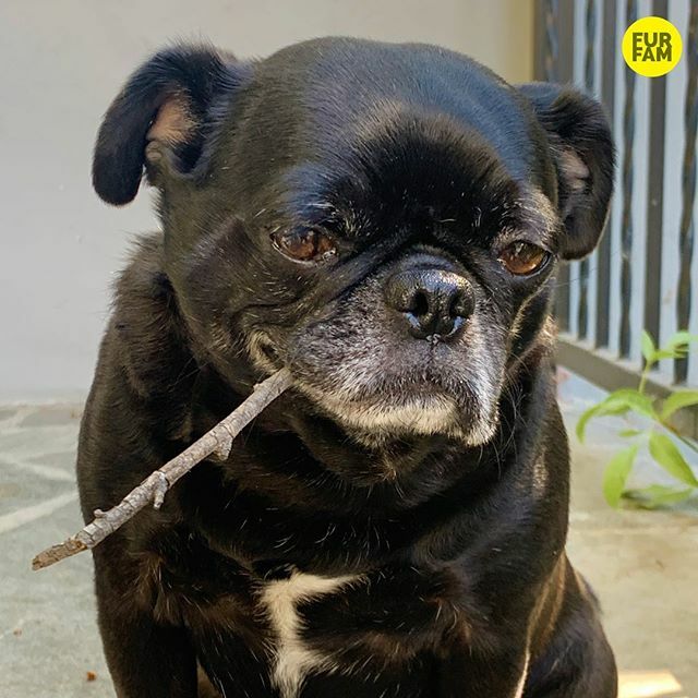 furfam's tweet photo. “Oak wood, pine wood, ash wood. It don’t matter. Sticks in 6.” -Kubrick #lebron #lebronmeme https://t.co/slSfJP8DoD