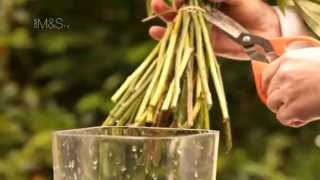 How to care for Flower bouquets from M&amp;S
gardeningpure.com/how-to-care-fo…