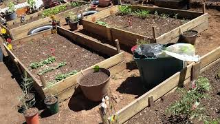 Homesteading, off grid, make your own soil for your vegetable garden 😃
gardeningpure.com/homesteading-o…