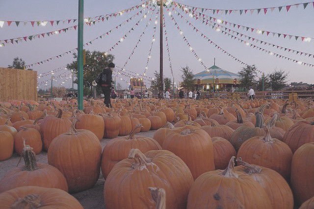 It’s 𝐏𝐑𝐄𝐌𝐈𝐄𝐑𝐄 night, people! 

The orange carpet is ready and the stars will be arriving soon! 
#HalloweentownPremiere