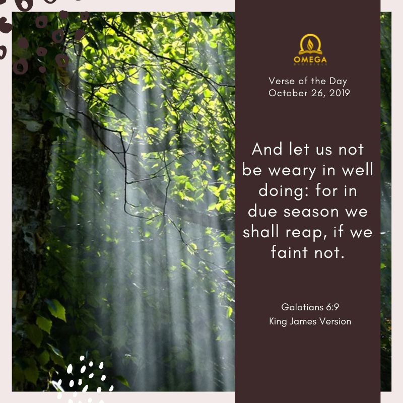 omegadigibible's tweet image. Verse of the Day: October 26, 2019

And let us not be weary in well doing: for in due season we shall reap, if we faint not.

Galatians 6:9, King James Version

Check our daily verses via Omega DigiBible app. Available on Play Store and AppStore.