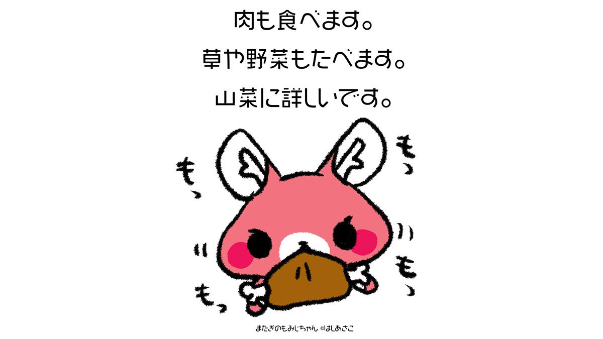 またぎのもみじちゃん観察日記 もみじちゃんのひみつ またぎのもみじちゃん観察日記 もみじちゃんのひみつ