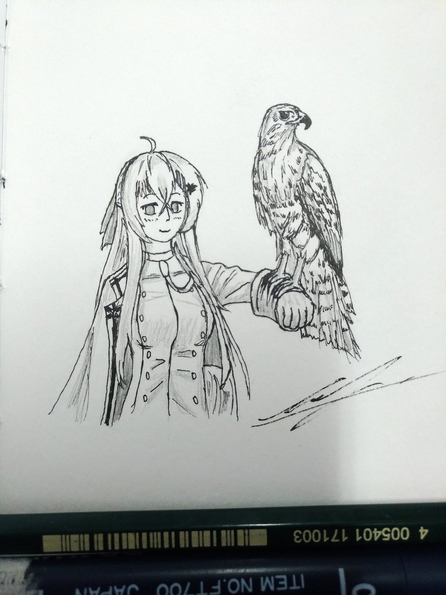 Inktober day 23 - T-dolls and pets

IWS2000 with her European golden eagle

#少女前線 #ドルフロ #IWS200 