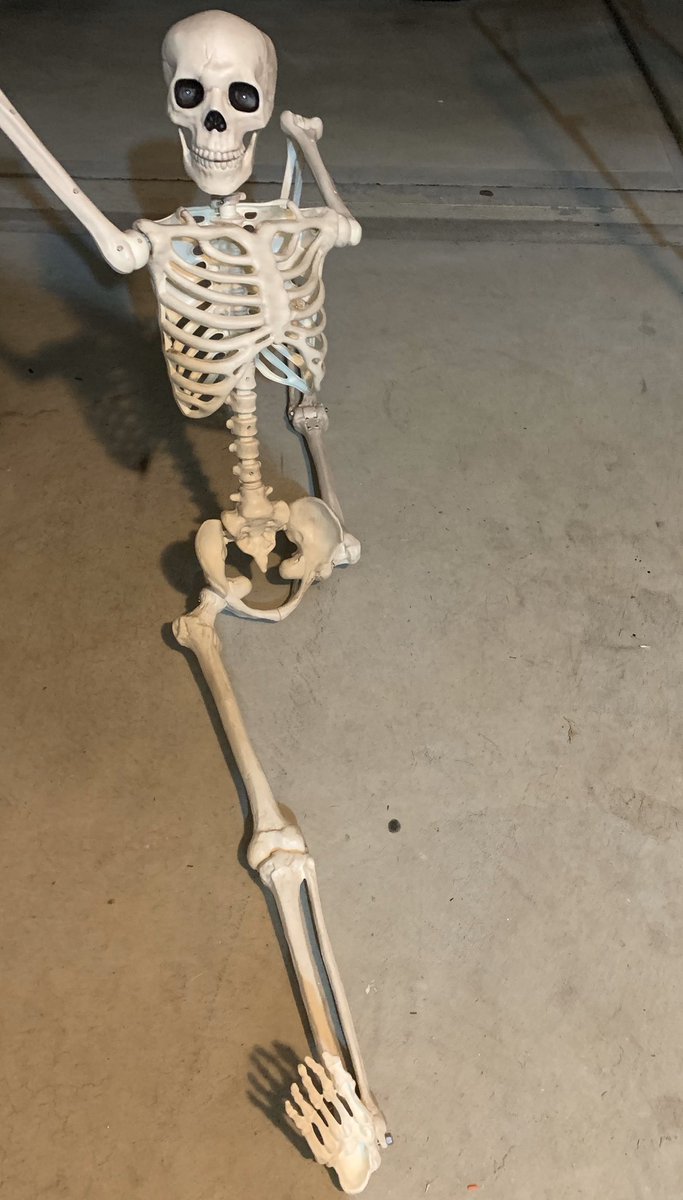 kspangle57's tweet photo. Fun fact about Fred he was a gymnast in a former life #31DaysofFred #Fredtober https://t.co/El9K8A8oDx